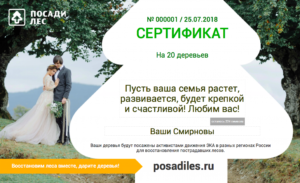 В Костроме предложили дарить лес молодоженам